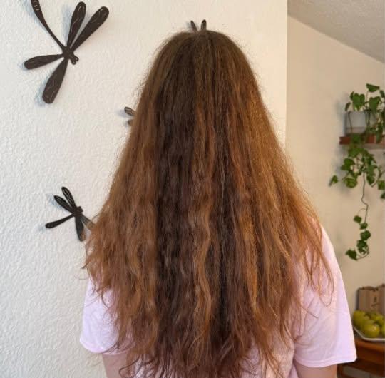 Cabello con frizz antes del tratamiento, visto de espaldas